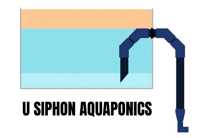 Simplest, Most Adaptable Siphon for Aquaponics Systems 